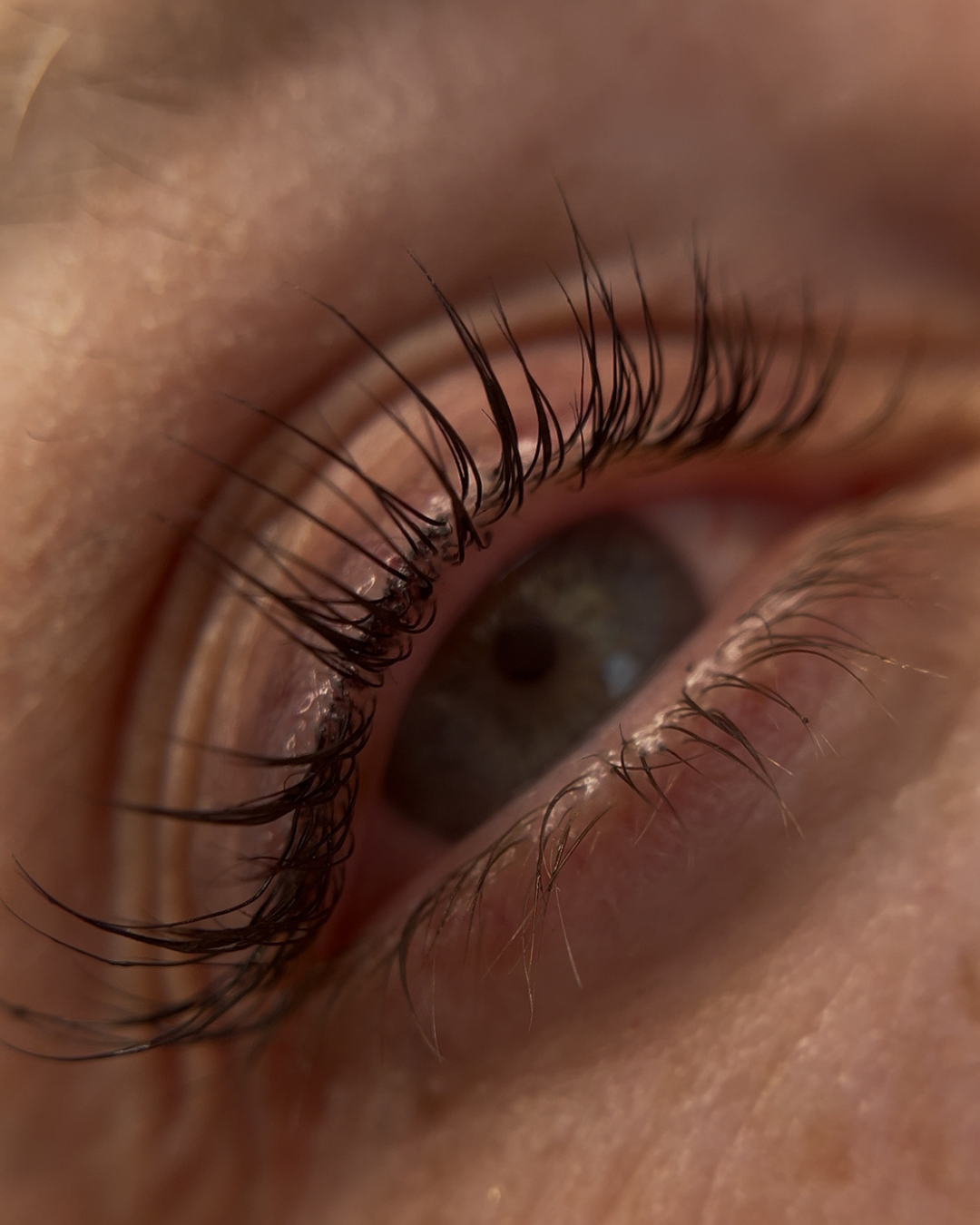 Glueless Silicone Lash Lift Shields